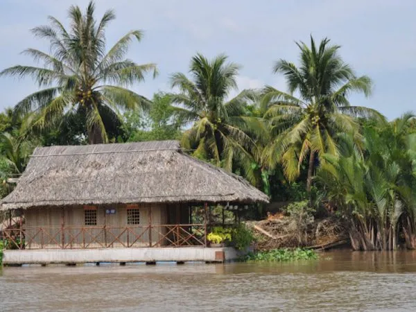 Các loại nhà lá, hướng dẫn lợp nhà bằng lá dừa và lá cọ truyền thống