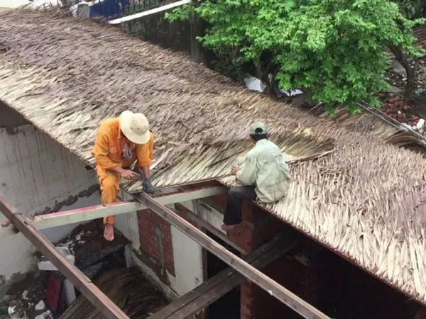 Các loại nhà lá, hướng dẫn lợp nhà bằng lá dừa và lá cọ truyền thống