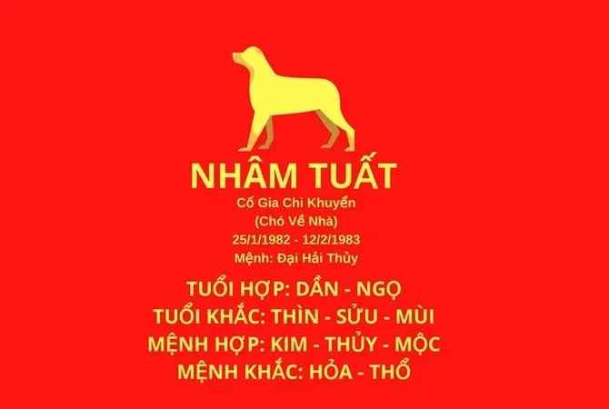 Hạn Tam Tai của tuổi Nhâm Tuất đối với nữ mạng