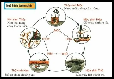 Kim sinh Thủy và ứng dụng ngũ hành trong đời sống