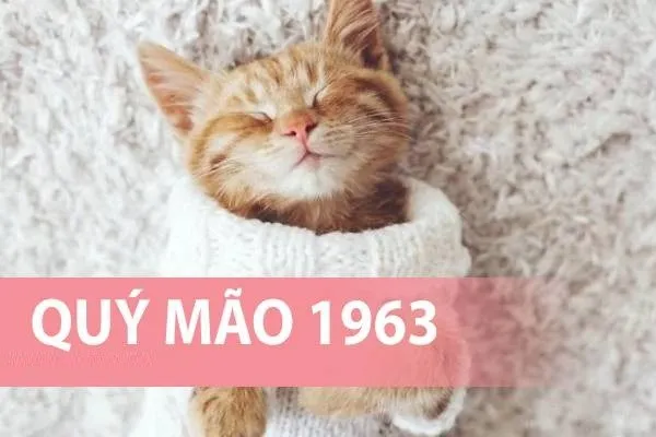 Phong thuỷ hướng bếp tuổi Quý Mão 1963 đem lại nhiều may mắn