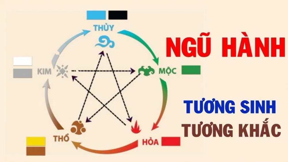 Tư vấn vị trí, số lượng, bể cá phong thủy cho từng tuổi và từng mệnh