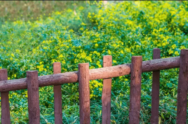 Hàng trăm mẫu hàng rào đẹp nhất hiện nay cho biệt thự và nhà riêng