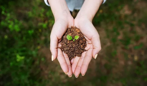 Quy luật của ngũ hành tương sinh – ý nghĩa và ứng dụng