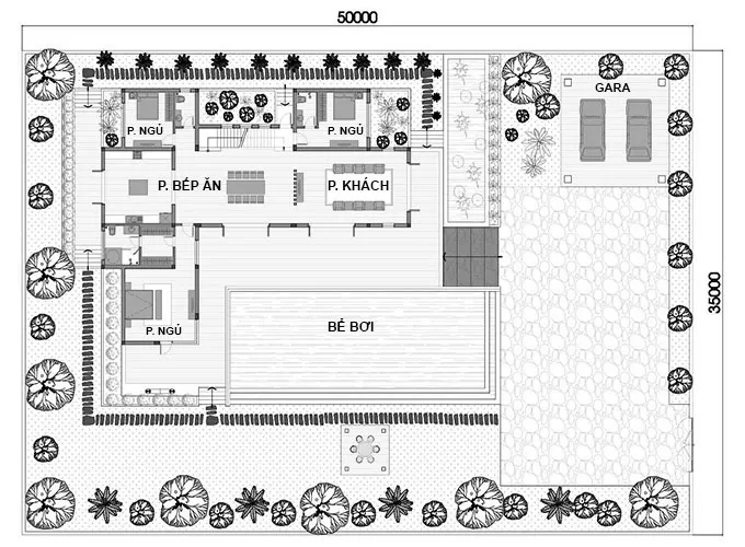 Tư vấn thiết kế nhà có bể bơi ai nhìn cũng mê đắm