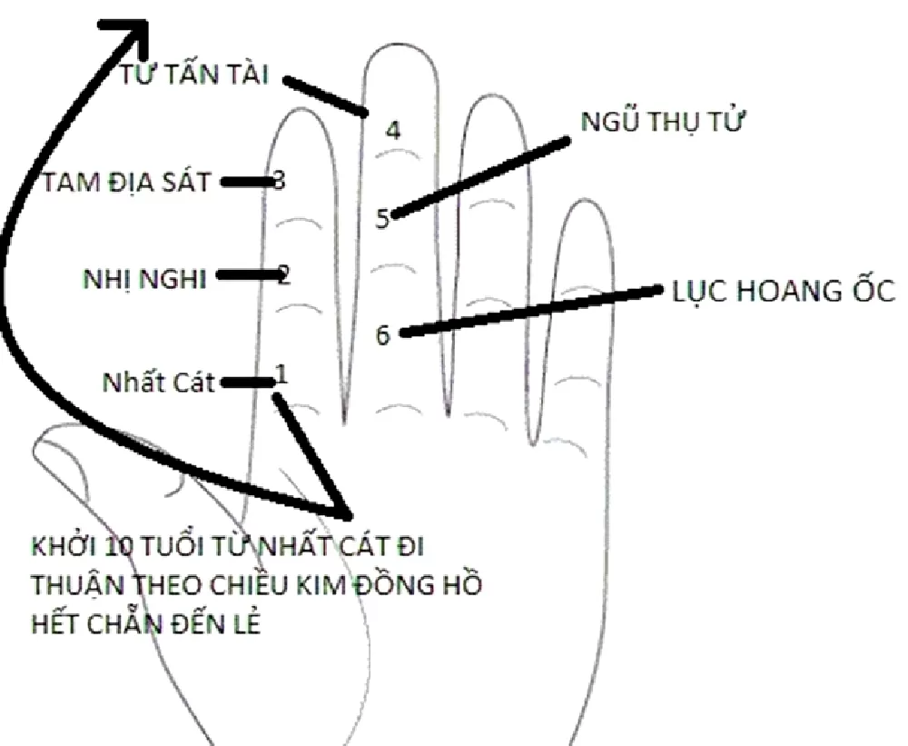 Tuổi 1987 xây nhà năm 2024 tháng nào thì đẹp?